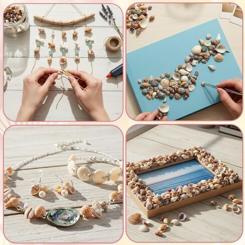 1500 Pcs Tiny Sea Shells for Crafting, Mini Seashells Mixed Ocean Beach Vase Filler for Beach Theme Party, Small Shells for Craft, Fish Tank Vase Filler DIY Craft Supplies in Kuwait