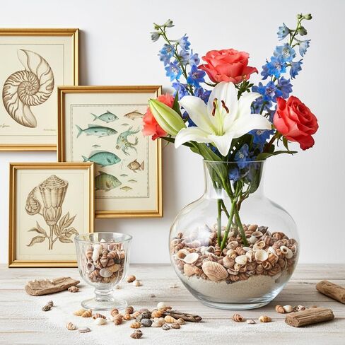 1500 Pcs Tiny Sea Shells for Crafting, Mini Seashells Mixed Ocean Beach Vase Filler for Beach Theme Party, Small Shells for Craft, Fish Tank Vase Filler DIY Craft Supplies in Kuwait