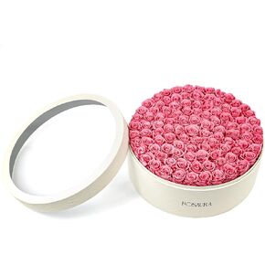 Rosaura Round Preserved Roses Gift Box (Pink, 7 Roses) in Saudi Arabia