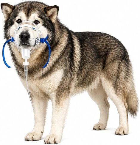 Veterinary Oxygen Mask for Extra Large Dogs Over 88 lbs, Clear, with 6.6 ft Oxygen Tubing，Easy to Clean，Easy to use，Compatible with Mainstream Oxygen concentrators in Saudi Arabia