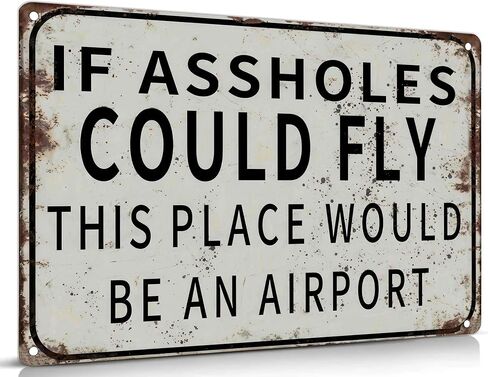 Funny Metal Wall Art IF COULD FLY THIS PLACE WOULD BE AN AIRPORT Decor Painting Pictures Black and white Signs posters Prints for Interior Outdoor Room Home Decoration 8x12In in Kuwait