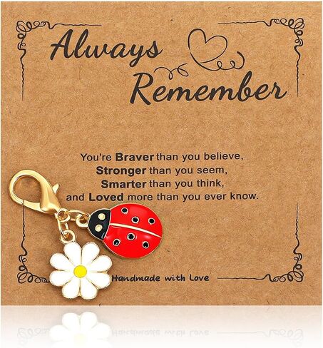 1 Pcs Ladybug Keychain with Positive Affirmation Cards | Handbag Charms for Purses, Inspirational Keychain Accessories for Women Men Teens in Saudi Arabia