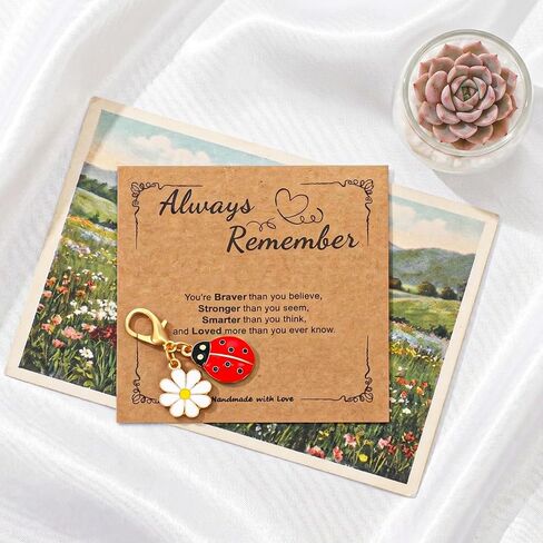 1 Pcs Ladybug Keychain with Positive Affirmation Cards | Handbag Charms for Purses, Inspirational Keychain Accessories for Women Men Teens in Saudi Arabia