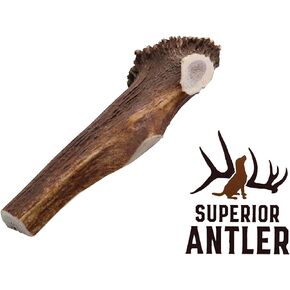 1-X Large Antler, Split, Single Pack - XL All Natural Premium Grade A. Antler Chew. Naturally Shed, Hand-Picked, and Made in The USA. NO Odor, NO Mess. Guaranteed Satisfaction. for Dogs 45+LBSL