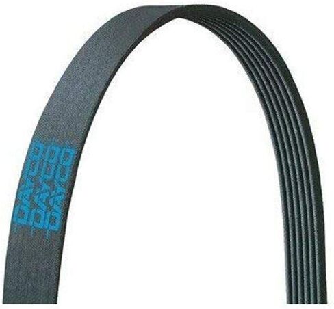 Dayco Drive Rite 5060473DR Serpentine Belt in Saudi Arabia