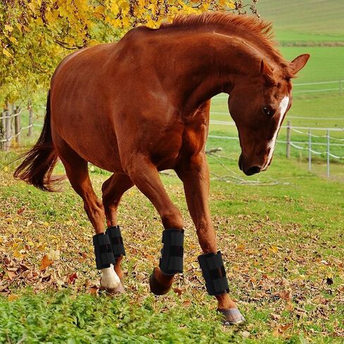 Aliceset 4 عبوات من عبوات الثلج لركبة الحصان مقاس 5 بوصة × 13 بوصة حزمة تبريد مع أشرطة مرنة لإصابات الحصان، حزمة باردة من حذاء الثلج قابلة لإعادة الاستخدام لمفاصل ساق الحصان in Kuwait