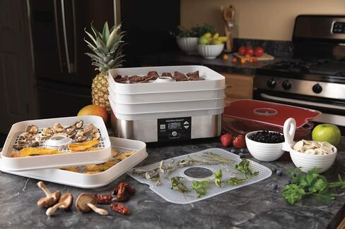 هاميلتون بيتش 32100، 500 وات، 5 صينية، مجفف طعام يوضع على سطح الطاولة، رمادي in Kuwait