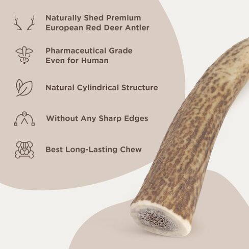 Deerpets Premium Red Deer Antler Dog Chew, 4-8 inch Naturally Shed Antlers for Dogs, Aggressive Chewers & Puppies, No Messy No Oder Healthy Treat - 1 Count (Small)… in Saudi Arabia