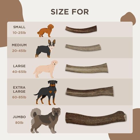 Deerpets Premium Red Deer Antler Dog Chew, 4-8 inch Naturally Shed Antlers for Dogs, Aggressive Chewers & Puppies, No Messy No Oder Healthy Treat - 1 Count (Small)… in Saudi Arabia