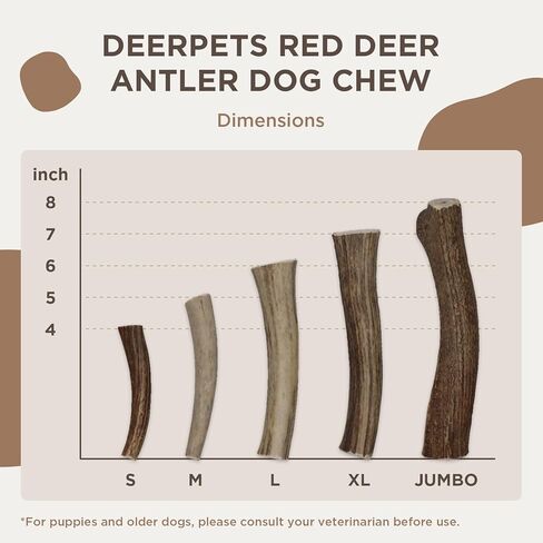 Deerpets Premium Red Deer Antler Dog Chew, 4-8 inch Naturally Shed Antlers for Dogs, Aggressive Chewers & Puppies, No Messy No Oder Healthy Treat - 1 Count (Small)… in Saudi Arabia