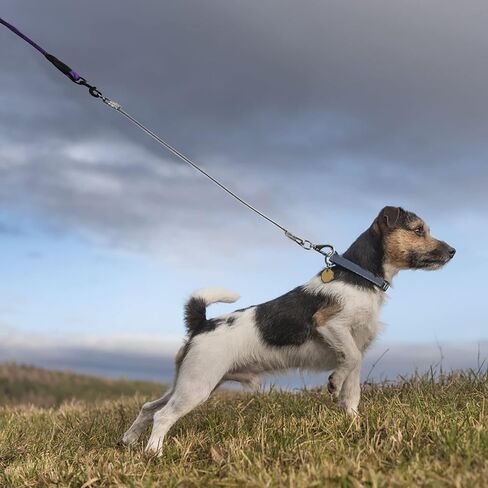voopet Chew-Proof Dog Leash Extension Works with Any Leash & Collar & Harness - Super Strong and Durable Non-Tangle Connect Leash (Multiple leashes are Used for Multiple Dogs) in Saudi Arabia