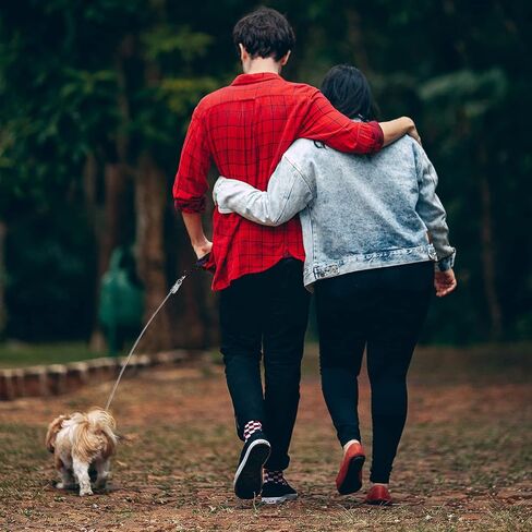 voopet Chew-Proof Dog Leash Extension Works with Any Leash & Collar & Harness - Super Strong and Durable Non-Tangle Connect Leash (Multiple leashes are Used for Multiple Dogs) in Saudi Arabia