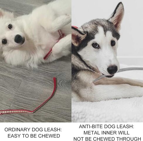 voopet Chew-Proof Dog Leash Extension Works with Any Leash & Collar & Harness - Super Strong and Durable Non-Tangle Connect Leash (Multiple leashes are Used for Multiple Dogs) in Saudi Arabia