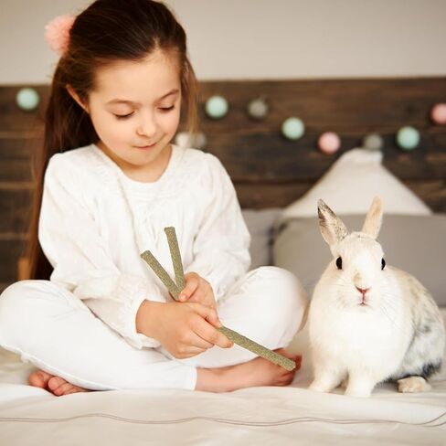 arespark تيموثي القش العصي للأرانب 50pcs، خنازير غينيا الأرانب الهامستر مضغ اللعب، الطبيعية تيموثي العشب المولي الأسنان طحن يعامل للحيوانات الصغيرة يعامل in Kuwait