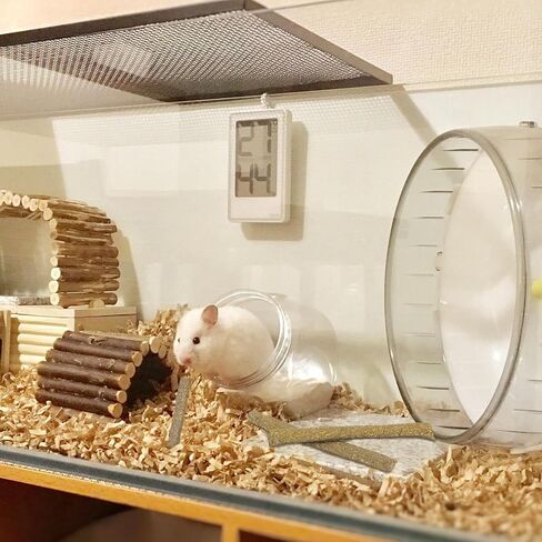 arespark تيموثي القش العصي للأرانب 50pcs، خنازير غينيا الأرانب الهامستر مضغ اللعب، الطبيعية تيموثي العشب المولي الأسنان طحن يعامل للحيوانات الصغيرة يعامل in Kuwait