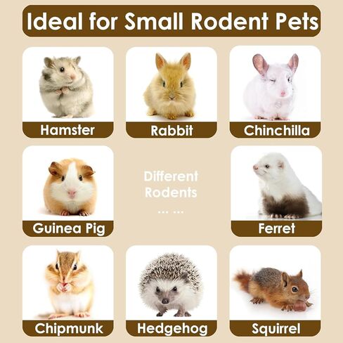 arespark تيموثي القش العصي للأرانب 50pcs، خنازير غينيا الأرانب الهامستر مضغ اللعب، الطبيعية تيموثي العشب المولي الأسنان طحن يعامل للحيوانات الصغيرة يعامل in Kuwait