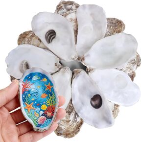 20Pcs Flat Oyster Shells 3-4 Inch, Cleaned Natural Oyster Shells for Crafts, Vase Filler, DIY Arts and Crafts Decoupage Painting, Christmas Ornaments, Coastal Wedding Decor, Seashells Bulk in Saudi Arabia