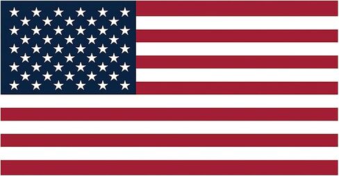 250th Anniversary USA Window Clings for Glass Windows, American Flag Window Stickers 4th of July Double-Sided Reusable Static Window Decals for Party Home Classroom Decorations 1 Sheet, PVC Material in Saudi Arabia