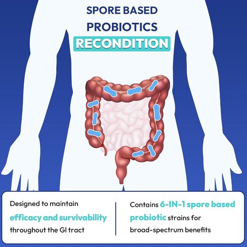 100% Spore Probiotic, 20 Billion CFU Spore Based Probiotics for Women & Men, No Refrigeration & Vegan, 90 Capsules in Saudi Arabia