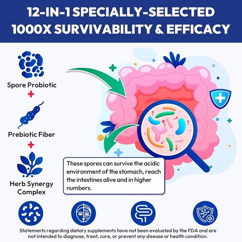 100% Spore Probiotic, 20 Billion CFU Spore Based Probiotics for Women & Men, No Refrigeration & Vegan, 90 Capsules in Saudi Arabia