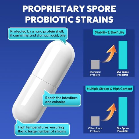 100% Spore Probiotic, 20 Billion CFU Spore Based Probiotics for Women & Men, No Refrigeration & Vegan, 90 Capsules in Saudi Arabia