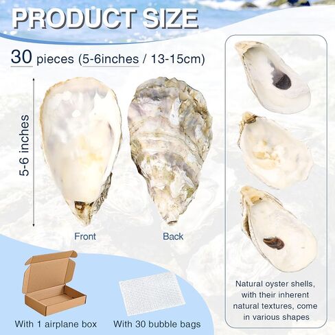 ZYNERY 30PCS Natural Oyster Shells for Crafts, 5"-6" Large Gray Seashells Bulk for DIY Ornaments, Decoupage, Shell Painting, Vase Filler, Beach Decor & Ocean Theme Parties in Kuwait