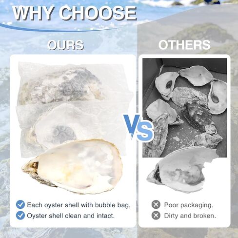 ZYNERY 30PCS Natural Oyster Shells for Crafts, 5"-6" Large Gray Seashells Bulk for DIY Ornaments, Decoupage, Shell Painting, Vase Filler, Beach Decor & Ocean Theme Parties in Kuwait
