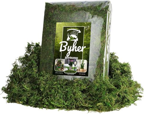 32OZ Large Capacity Artificial Moss - Bulk Fake Moss for Plants Indoor, Planter Filler for Artificial Plants, Crafts, Fairy Garden Decor, Potted Plants Indoor Outdoor (2LB Fresh Green) in Saudi Arabia