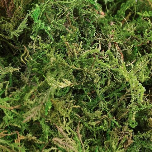 32OZ Large Capacity Artificial Moss - Bulk Fake Moss for Plants Indoor, Planter Filler for Artificial Plants, Crafts, Fairy Garden Decor, Potted Plants Indoor Outdoor (2LB Fresh Green) in Saudi Arabia