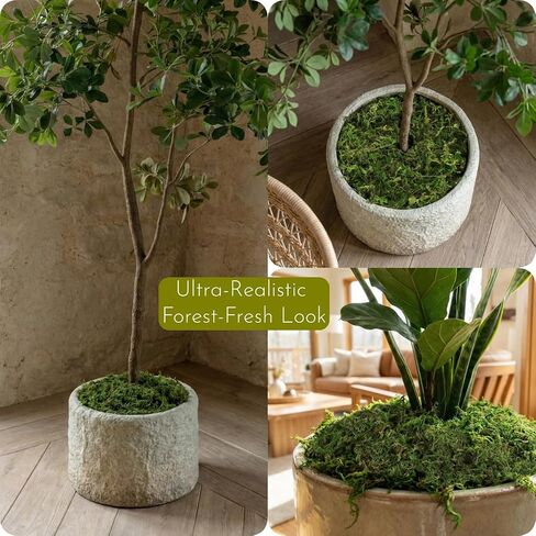 32OZ Large Capacity Artificial Moss - Bulk Fake Moss for Plants Indoor, Planter Filler for Artificial Plants, Crafts, Fairy Garden Decor, Potted Plants Indoor Outdoor (2LB Fresh Green) in Saudi Arabia