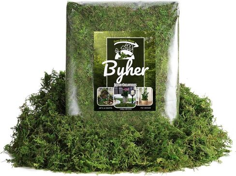 32OZ Large Capacity Artificial Moss - Bulk Fake Moss for Plants Indoor, Planter Filler for Artificial Plants, Crafts, Fairy Garden Decor, Potted Plants Indoor Outdoor (2LB Fresh Green) in Saudi Arabia