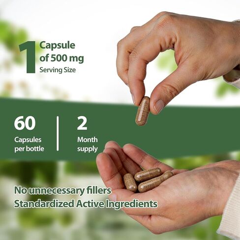 Rhodiola Rosea Supplement Organic – Adaptogenic Herbal Blend with Rhodiola for Stress Relief, Sustained Energy, Mental Focus & Cognitive Performance, Natural Non-GMO Daily Wellness Support (1) in Kuwait