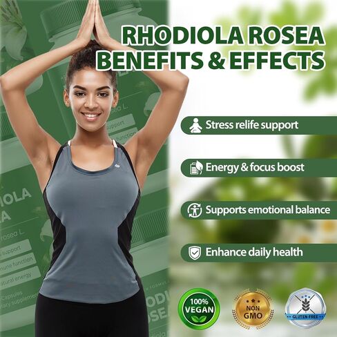 Rhodiola Rosea Supplement Organic – Adaptogenic Herbal Blend with Rhodiola for Stress Relief, Sustained Energy, Mental Focus & Cognitive Performance, Natural Non-GMO Daily Wellness Support (1) in Kuwait