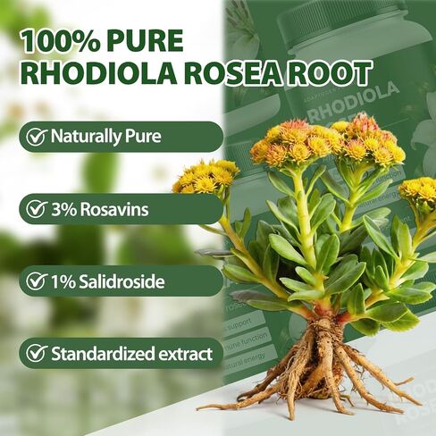Rhodiola Rosea Supplement Organic – Adaptogenic Herbal Blend with Rhodiola for Stress Relief, Sustained Energy, Mental Focus & Cognitive Performance, Natural Non-GMO Daily Wellness Support (1) in Kuwait