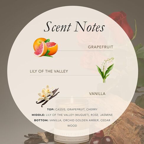 Velvet Goddess, Cherry Jasmine Amber Soy Candle, Rose Vanilla Cassis, Dual Lead-Free Wicks, High Fragrance Load, Reusable Glass Jar, Luxury Home Fragrance, 15 oz in Kuwait