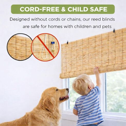 Forever Bamboo Light-Filtering Cord-Free Bamboo Reed Roll-Up Blind Shades for Windows Manual Roman Blinds Natural 60 in W x 72 in H (Pack of 2) in Saudi Arabia