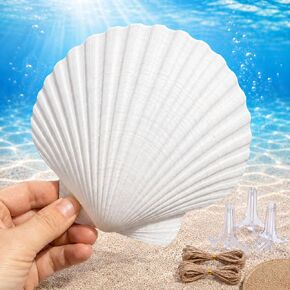 Cizavanta 50 Pack Large Scallop Shells for Crafts, 4-5 Inch Natural White Scallop Shells with 25 Clear Display Stands and Round Craft Mat, Seashells for DIY Painting, Decoupage & Coastal Decor in Saudi Arabia