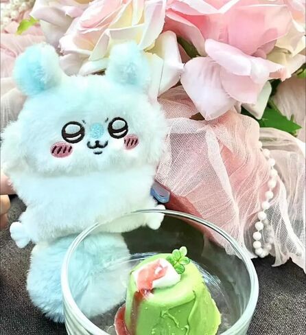 2 حزمة لطيف Chiikawa Momonga أفخم دمية لعبة المفاتيح حقيبة سحر جميل التميمة هدية لمحبي أنيمي الفتيات الفتيان الأصدقاء، 10 سم 4 بوصة، 16 سم 6 بوصة in Kuwait