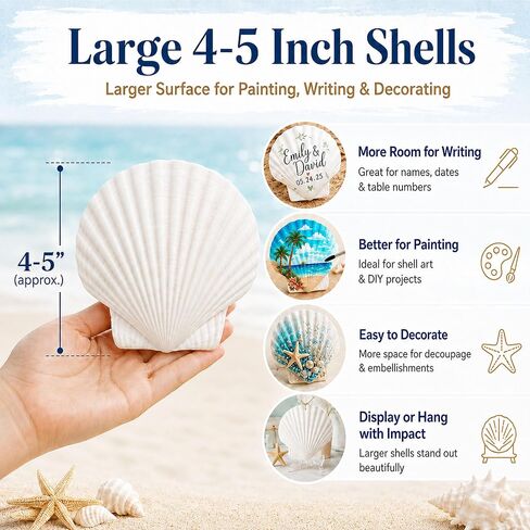 Cizavanta 50 Pack Large Scallop Shells for Crafts, 4-5 Inch Natural White Scallop Shells with 25 Clear Display Stands and Round Craft Mat, Seashells for DIY Painting, Decoupage & Coastal Decor in Saudi Arabia