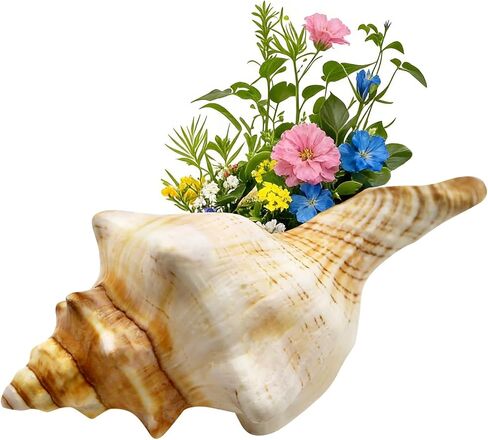 6-7 Inch Giant Natural Conch Shell, Handpicked Seashell for Home Decor, Aquarium Ornament, Air Plant Holder & Beach Collectibles, No Dye No Fade Coastal Decoration in Saudi Arabia