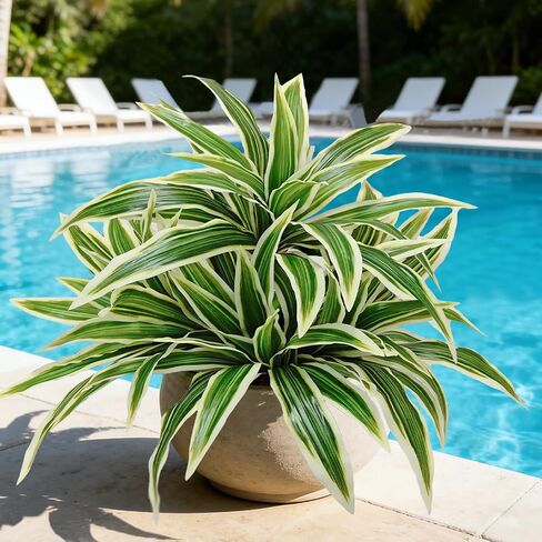 3Pcs Fake Ferns, Faux Outdoor Plants UV Resistant,3D Real Touch Fake Plants Total 60 Blades,Weatherproof Artificial Plants Outdoor Indoor for Garden Porch Home Office Decor in Saudi Arabia