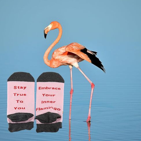 PXTIDY Flamingo Socks Keychain Set Stay True To You Embrace Your Inner Flamingo Sayings Socks Animal Flamingoes Lover Gifts in Kuwait