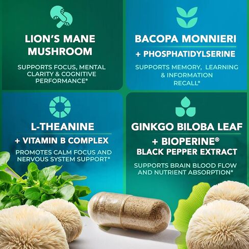 كبسولات المكملات الغذائية Lions Mane - 1000 ملغ لكل وجبة، مركب دعم الدماغ الكامل مع L Theanine، أوراق الجنكة، فيتامين B6، B12 - نباتي، غير معدّل وراثيًا ومصنوع في الولايات المتحدة الأمريكية Lions Mane Mushroom - 60 كبسولة in Kuwait