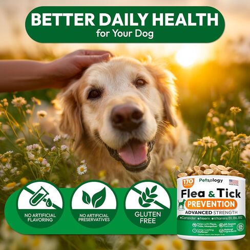 Natural Flea and Tick Chews for Dogs - Soft Oral Treats - All Breeds & Ages - Immune Support Dog Treats - Made in USA in Kuwait