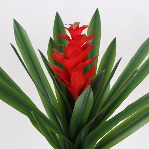 COTSEN 2 Pcs 21 inch Artificial Flowers Plants Artificial Phoenix Pear Flower Plant Fake Succulent Plants for Office Family Indoor Outdoor Decor in Saudi Arabia