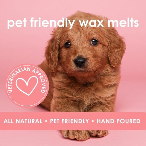Pet Safe Wax Melts for Dogs | Non Toxic Soy Wax Melts | Natural, Paraffin-Free, Clean Burning | Odor Eliminating Wax Cubes | Palo Santo & Amber in Saudi Arabia