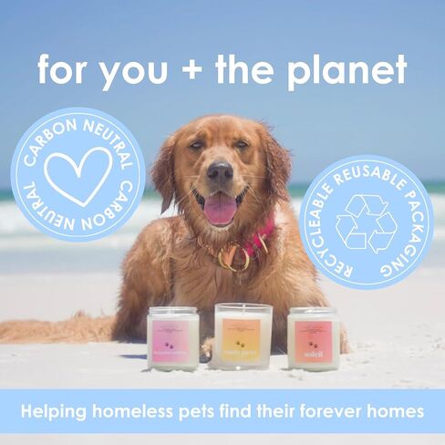 Pet Safe Wax Melts for Dogs | Non Toxic Soy Wax Melts | Natural, Paraffin-Free, Clean Burning | Odor Eliminating Wax Cubes | Palo Santo & Amber in Saudi Arabia