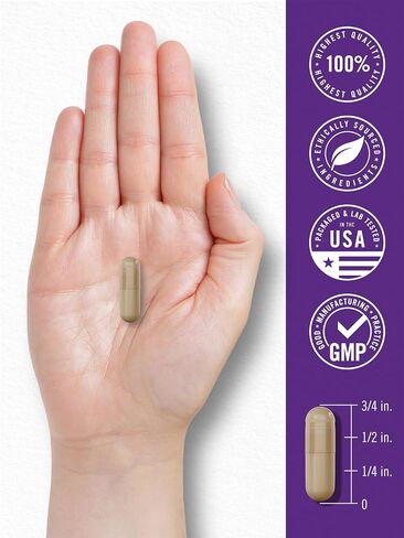 Carlyle Probiotic | 15 Billion CFU | 30 Capsules | 10 Probiotic Strains with Prebiotic Fiber | Delayed Release | Non GMO, Gluten Free in Kuwait
