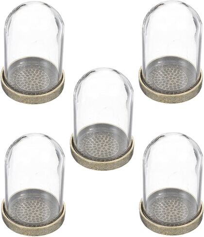 ARTIBETTER Glass Terrarium Dome and Brass Tray Set for DIY Microlandscape Plant Display Miniature Ecological Container Covers for Home Decor and Craft Supplies in Kuwait