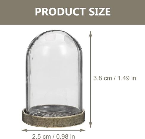 ARTIBETTER Glass Terrarium Dome and Brass Tray Set for DIY Microlandscape Plant Display Miniature Ecological Container Covers for Home Decor and Craft Supplies in Kuwait